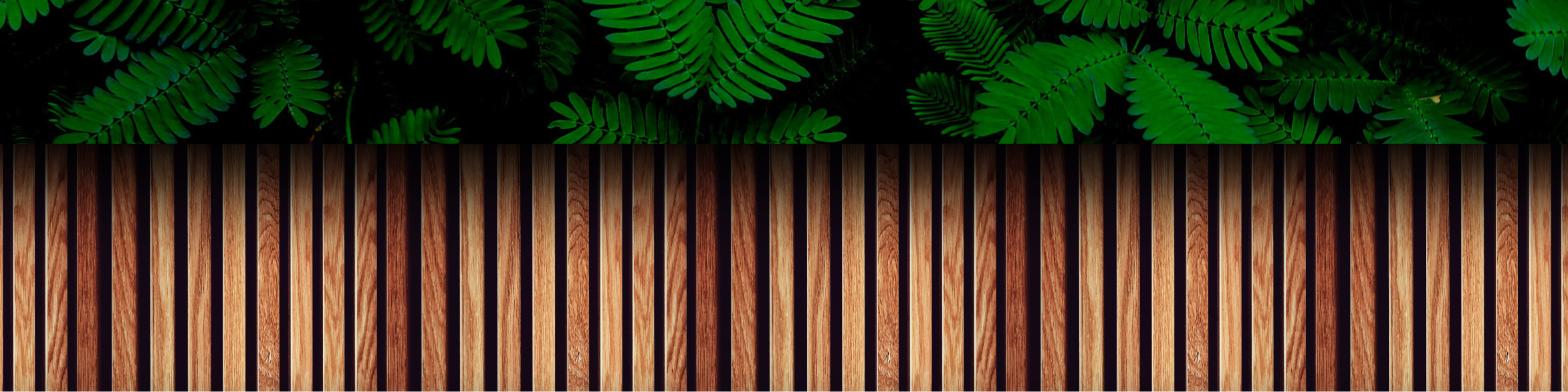 header bg